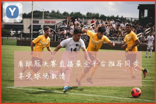 看欧冠决赛直播最全平台推荐同步享受球场激情